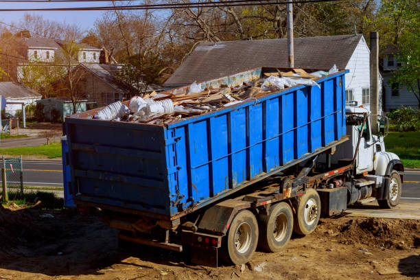 Best Office Junk Removal  in Mount Jackson, VA