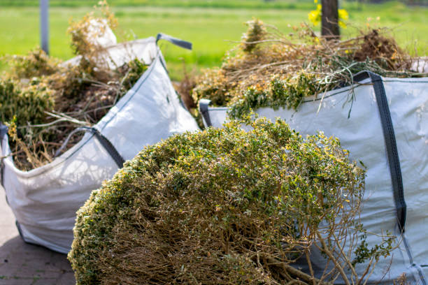 Best Construction Debris Removal  in Mount Jackson, VA