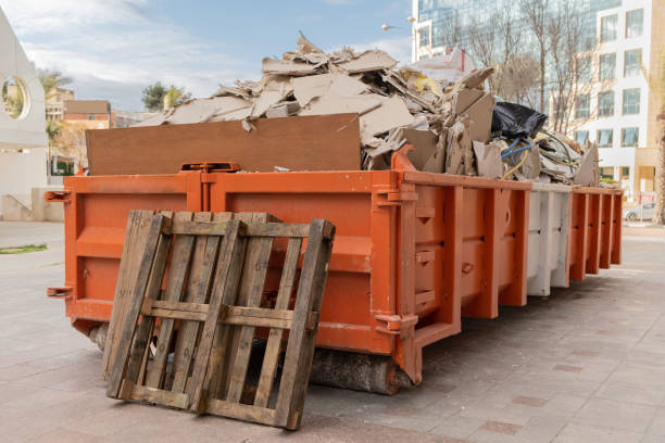 Best Yard Cleanup Services  in Mount Jackson, VA