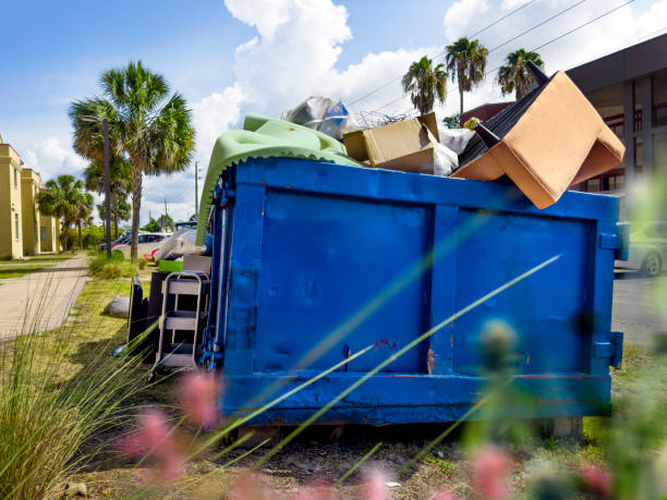 Best Junk Removal Near Me  in Mount Jackson, VA