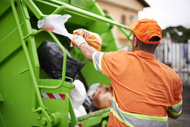 Best Electronics Removal Services  in Mount Jackson, VA
