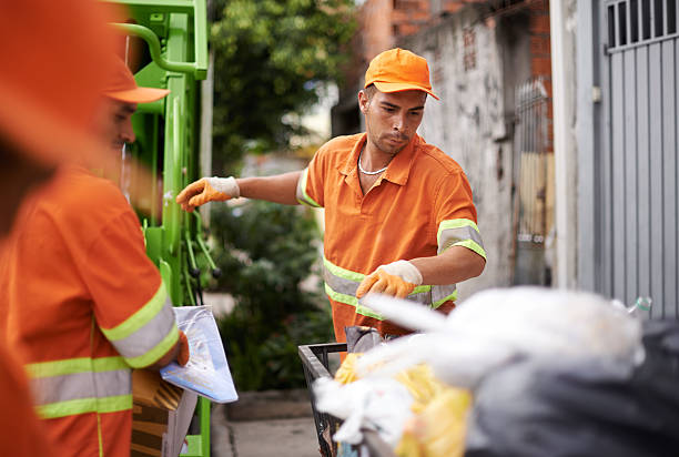 Best Affordable Junk Removal Services  in Mount Jackson, VA